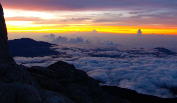 Vue de la jungle depuis la pyramide Carstensz