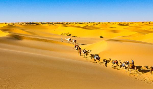 Traversée de dunes en méharée au Sahara