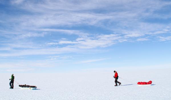 Expédition et progression en pulka au pôle Sud