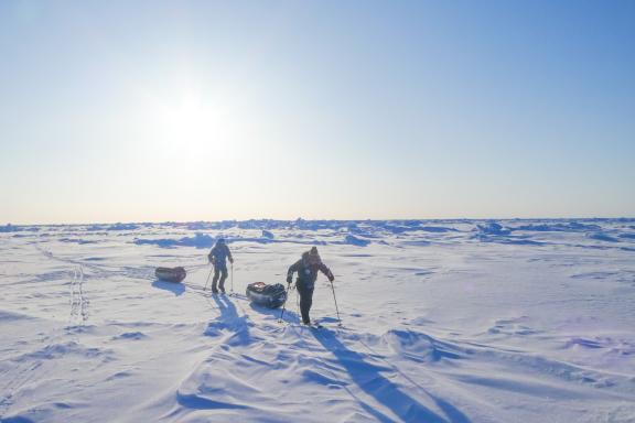 Atteignez le pôle Nord géographique en ski pulka