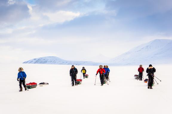Voyage et progression en pulka en Arctique