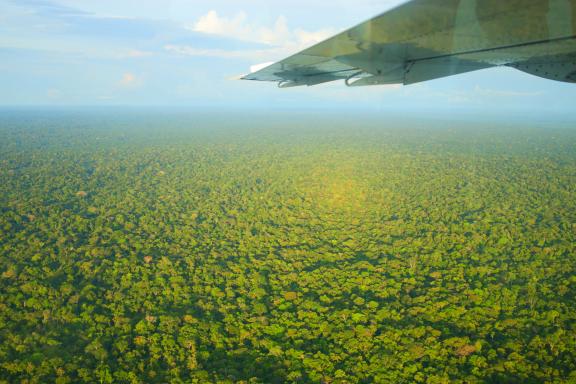 Expédition et vol au dessus de l'Amazonie