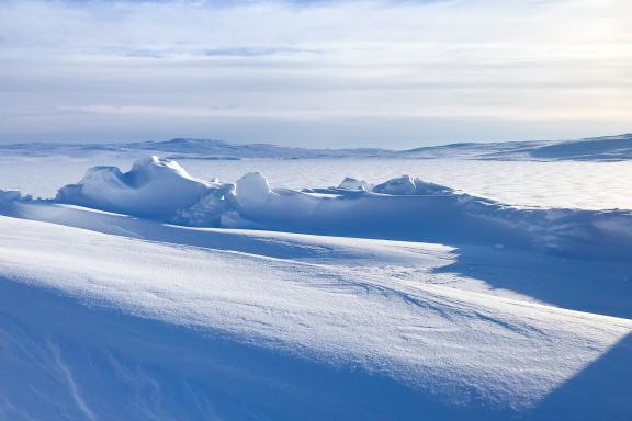 Voyage et plateau enneigé à Hardangervidda