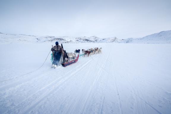 Expédition et rtaineau à chien à l'Artic Circle Trail