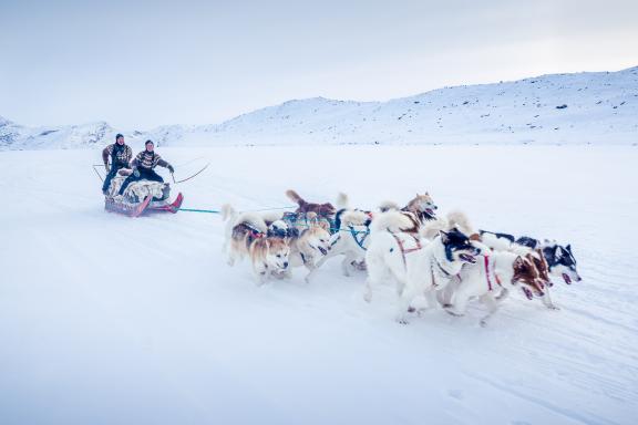Expédition et traîneau à chien à l'Artic Circle Trail