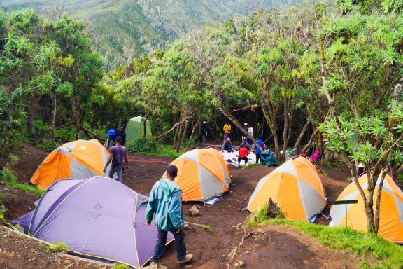 Bivouac et ascension du Kilimandjaro