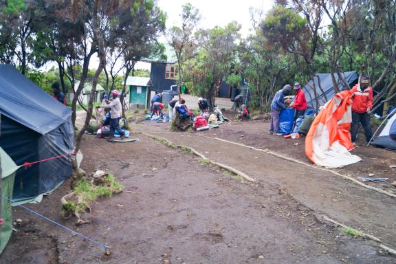 Expédition et installation du bivouac au Kilimandjaro