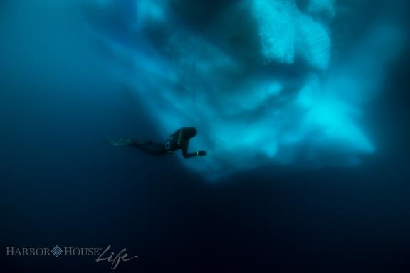 Voyage d'aventure et plongée sous glace