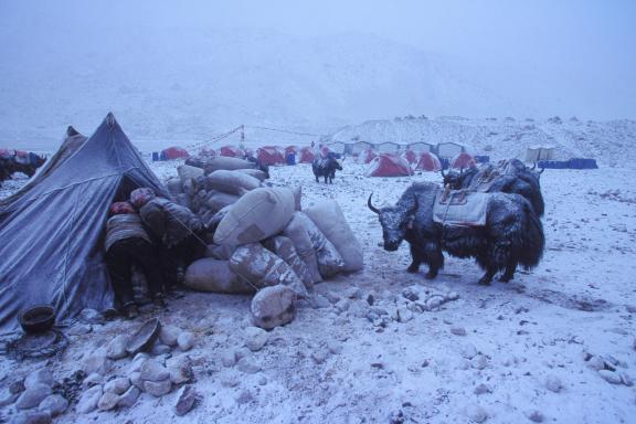 Expédition lors de l'ascension de l'Everest nord