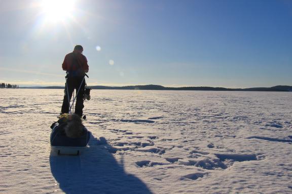 Expédition polaire sur le lac Inari en Finlande