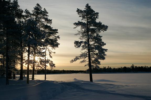 Expédition sur le lac Inari en Finlande