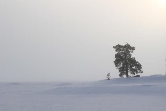 Expédition polaire sur le lac Inari en Finlande