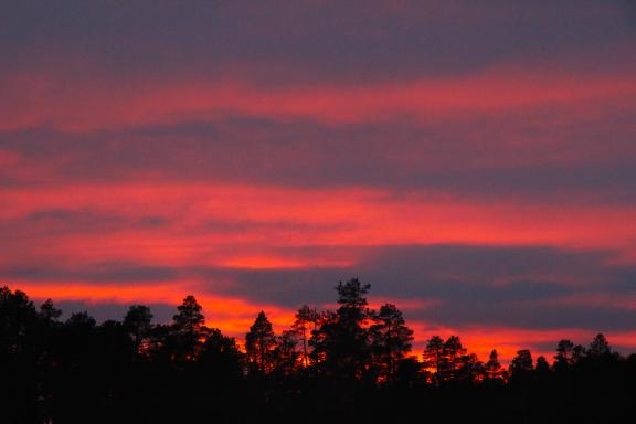 Expédition polaire sur le lac Inari en Finlande