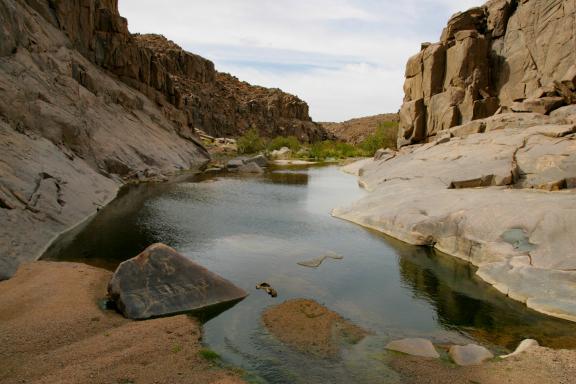 Voyage près d'une guelta